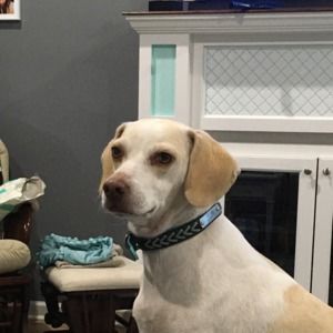 Meet your Posher, Claire